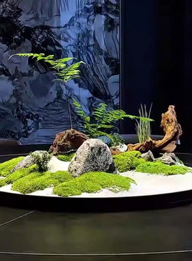 餐桌摆件转盘中间装饰摆花永生苔藓微景观圆盘假绿植摆件圆桌景观
