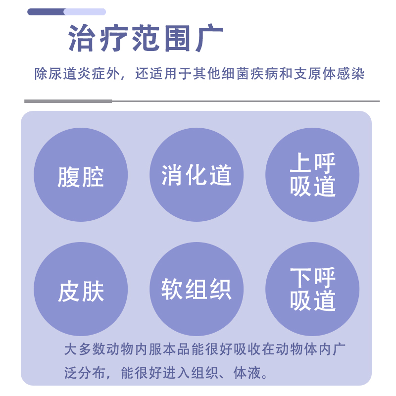 怪兽村广谱消炎杀菌恩诺沙星片产后消炎药子宫蓄脓乳腺炎泌尿感染