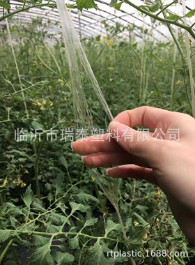 全新料pe开网膜耐高温抗老化大棚吊绳生产厂家大棚吊秧绳吊蔓绳
