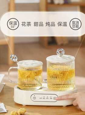 迷你养生壶烧水壶煮茶保温多功能煮茶器电热水壶煮茶壶办公室恒温