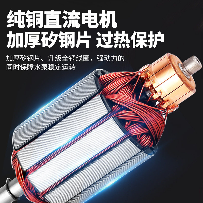 电动车专用抽水泵家用浇菜12V24V48V60V72伏纯铜电机直流潜水泵,淘宝优惠券,粉丝福利购,淘宝优惠卷