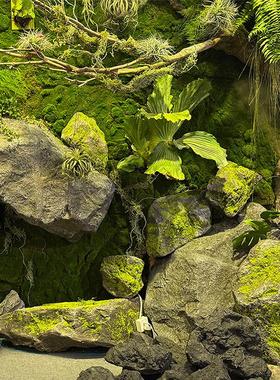 模拟苔藓泡沫石造景室内假石道具壁挂式绿色植物假山苔藓窗饰