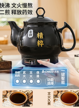 【志高十大品牌】煎药壶当天发