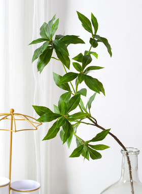 仿真植物 手感马醉木叶 家居装饰摄影摆件婚庆假花马醉木叶 批发