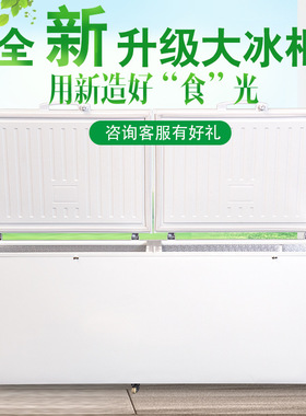 卧式冰柜商用大容量冰箱家用冷藏冷冻保鲜双温冷柜展示冷柜