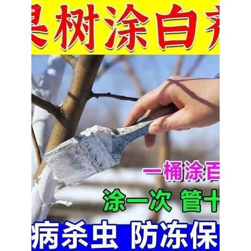 果树涂白剂树木树干杆大树刷白防虫防冻抗病防寒杀菌防冻石灰粉剂 - 图0