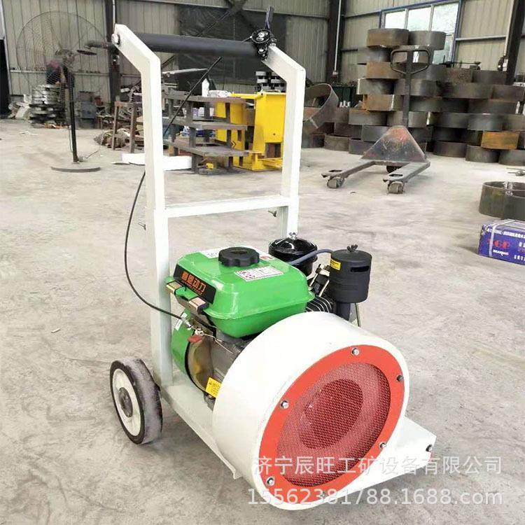 大功率路面机械吹风机 手推式道路汽油吹风机 电动马路吹风机,淘宝优惠券,粉丝福利购,淘宝优惠卷