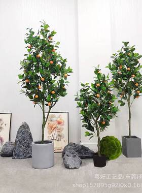 仿真桔子树落地摆放小盆栽景观人造塑料绿植物假柠檬仿真树橘子树