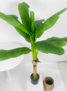 仿真绿植盆栽大型旅人蕉盆景室内家居装饰摆件芭蕉树假树绿植盆栽