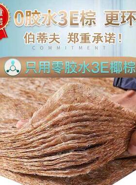 环保棕板床垫垫椰垫胶儿童床硬棕垫床垫子硬垫子棕正SJC反两用床