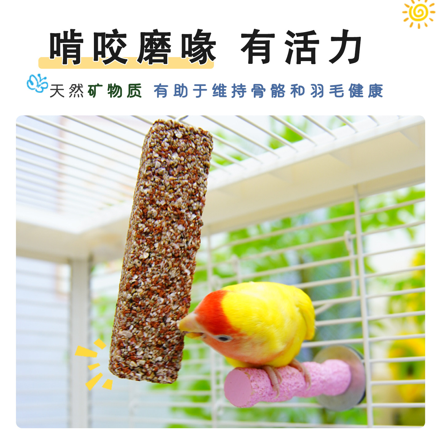 宠大条鹦鹉保健砂磨牙棒谷物棒虎皮玄凤牡丹鹦鹉矿物砂磨喙鸟零食,淘宝优惠券,粉丝福利购,淘宝优惠卷