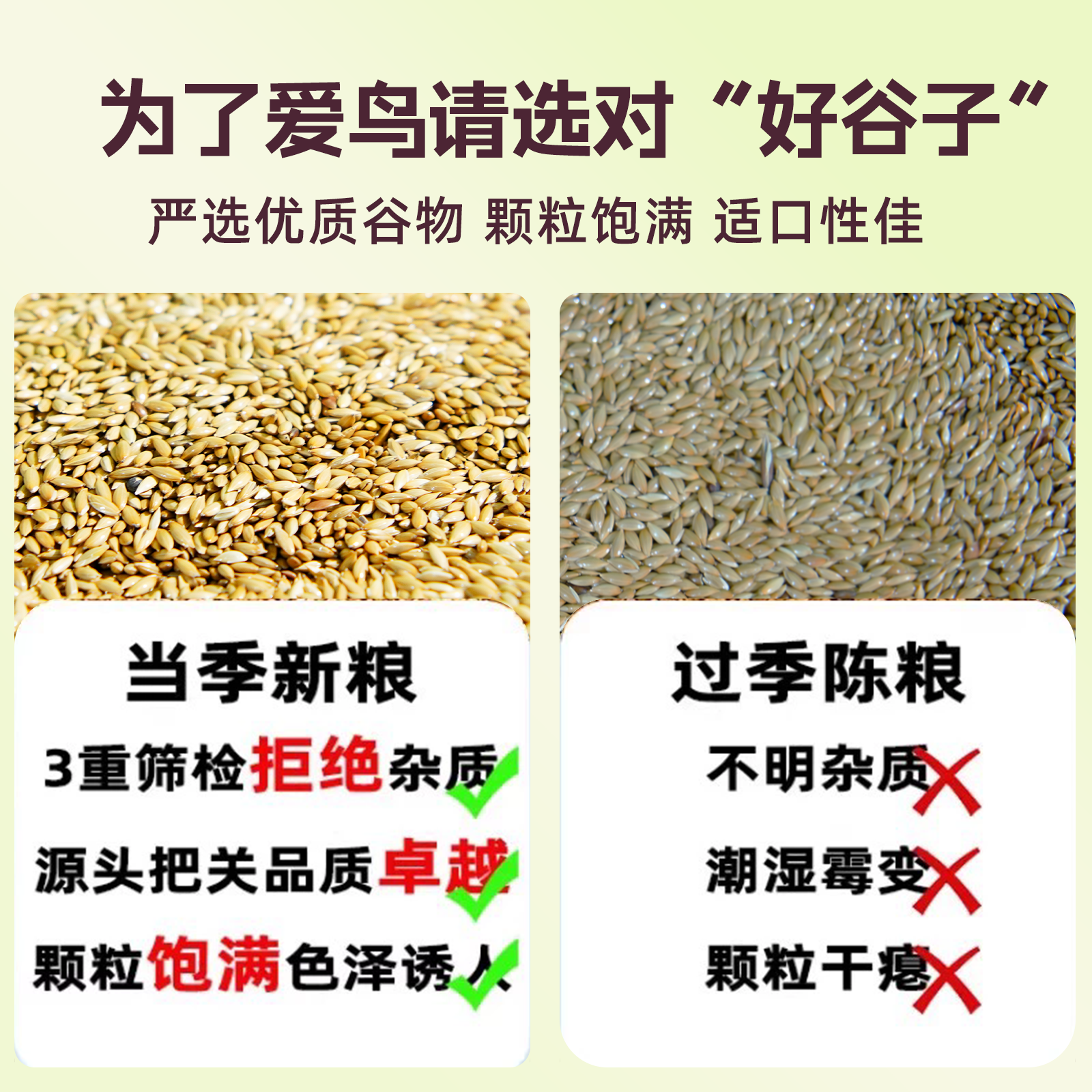 【宠大条】鹦鹉鸟粮鸟食虎皮玄凤小太阳专用粮加纳利子训练鸟零食,淘宝优惠券,粉丝福利购,淘宝优惠卷