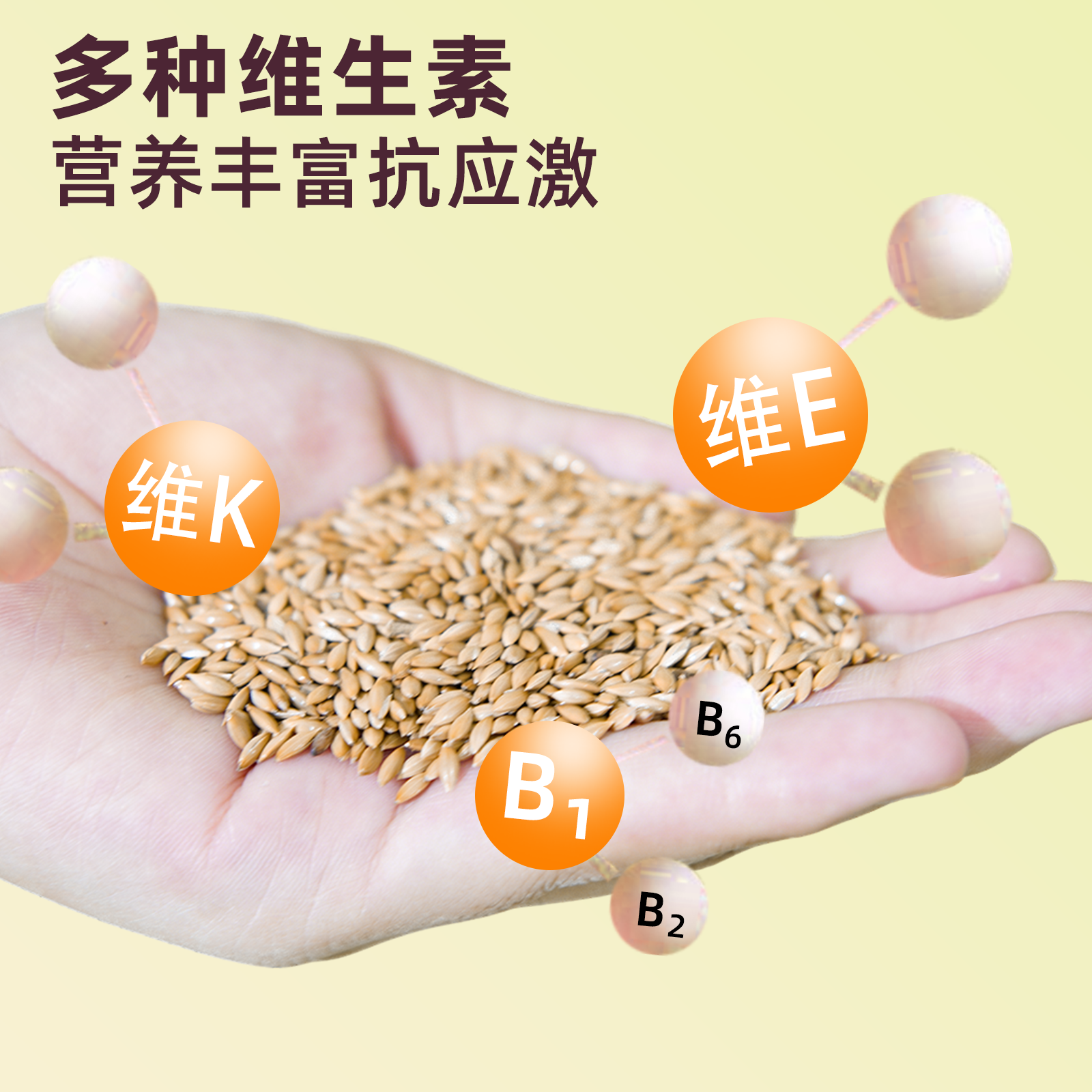 【宠大条】鹦鹉鸟粮鸟食虎皮玄凤小太阳专用粮加纳利子训练鸟零食,淘宝优惠券,粉丝福利购,淘宝优惠卷