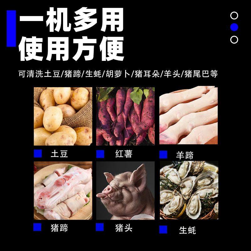 电动猪头猪蹄清洗机牛羊头耳朵去黑清洗机洗羊蹄猪脚生蚝机器,淘宝优惠券,粉丝福利购,淘宝优惠卷