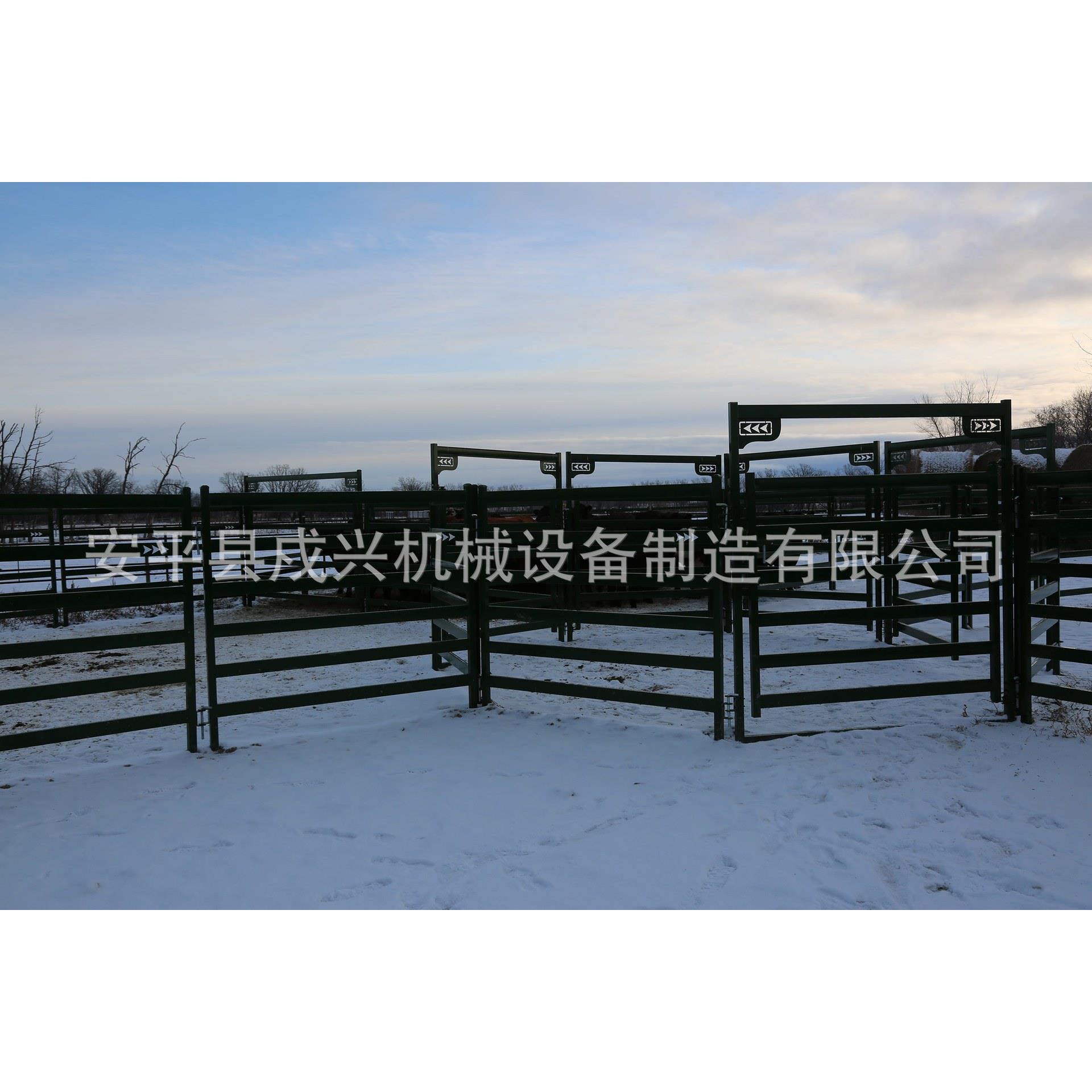 双排立柱加厚热镀锌喷塑方管两侧快速连接扣耳各尺寸定制畜牧围栏 - 图1