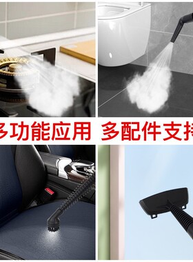 高温高压手持蒸汽清洁机厨房油烟家居清洗机多功能家电消毒器