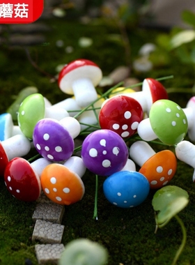 微景观创意可爱蘑菇治愈系套装桌面小摆件苔藓盆景造景装饰品配件