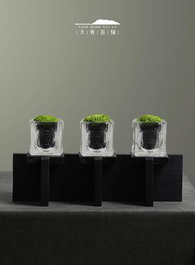 天青苔绿 中式碳化木底座永生苔藓组合 样板间展柜电视柜桌面摆件