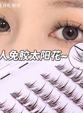 免胶假睫毛太阳花自然仿真大容量