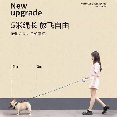 亚马逊一拖二自动伸缩牵引绳宠物双头狗链子小型狗狗二合一遛狗绳 - 图2