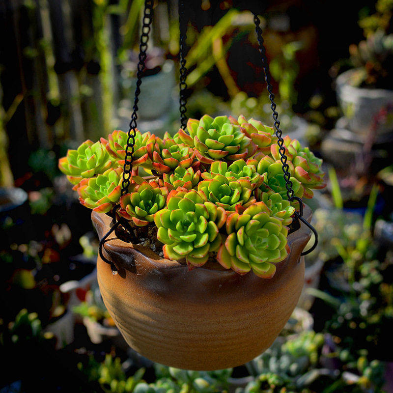 复古吊兰花盆陶瓷吊篮垂吊悬挂大号墙上壁挂佛珠绿萝多肉花盆,淘宝优惠券,粉丝福利购,淘宝优惠卷