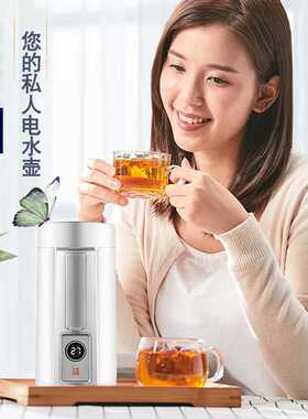 便携式电热水壶110V220V不锈钢烧水保温炖煮一体旅行出差多国适用