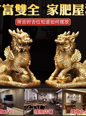 金属纯铜八卦祥兽摆件火财富福进z财迷你送子铜麒麟公母一对20公