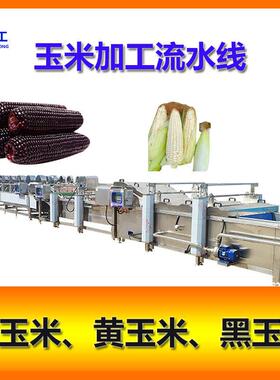 不锈钢农作物气泡清洗设备西蓝花鼓泡清洗机多功能果蔬洗菜机