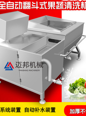 工厂现货发酵纳豆清洗机 单缸自动倒料洗菜机 小型果蔬涡流清洗机