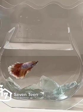 鱼缸花瓶摆件造景创意客厅餐桌桌面装饰生活仪式感ins高级感小众