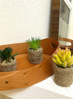 亚马逊仿真绿植迷你多肉小盆栽 家居室内书房假花植物摆件装饰