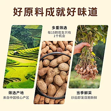 仓鼠行动五香脱油花生米蒜香下酒菜200g装[8元优惠券]-寻折猪