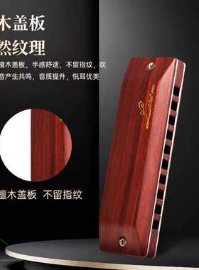 FEIFAN飞繁F901十孔木格学生初学者布鲁斯蓝调口琴专业演奏乐器