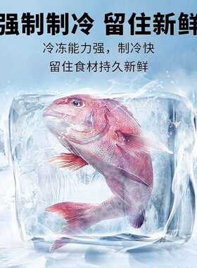 爆款冰箱小型家用双开门出租房宿舍节能冷藏冷冻办公室中大电冰箱
