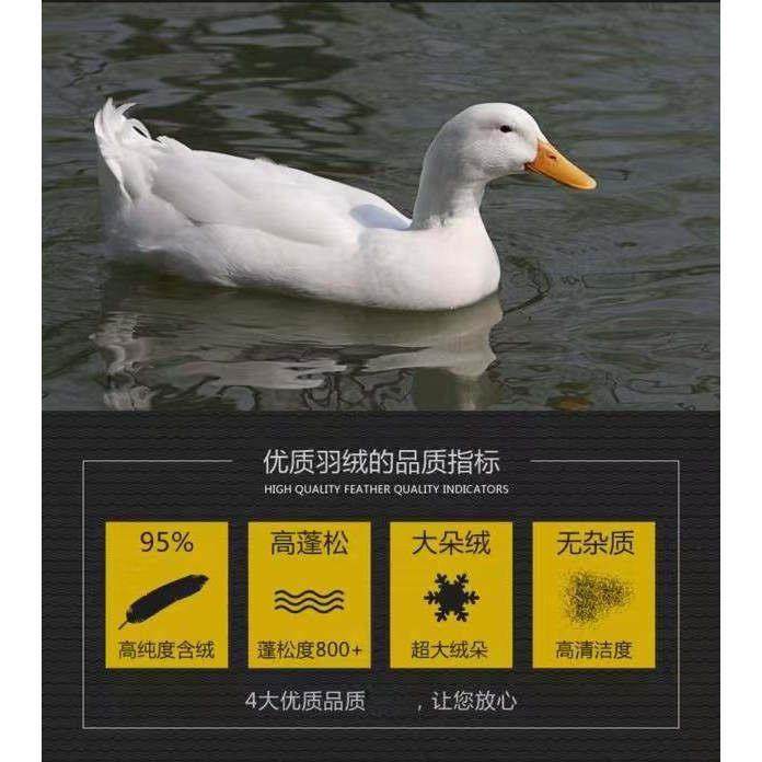 散装羽绒5%低分绒小羽毛绒片枕头靠垫沙发被子填充物原料厂家直销,淘宝优惠券,粉丝福利购,淘宝优惠卷