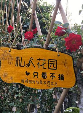 台华莲美丽物庭院树木花草牌提牌植标识牌花园装饰示牌刻字天ltao
