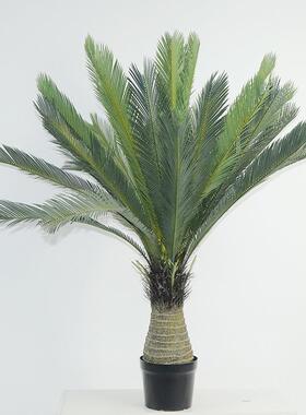 大型仿真树仿真苏内铁铁树绿室假物摆件仿真盆景人造植假盆景植铁