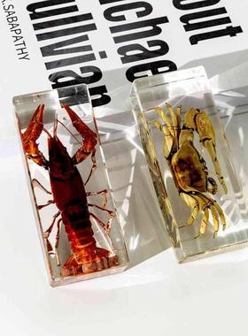 采购产品胶水树脂标本饰品，真蝎子，小龙虾，潮蟹，文创市场工艺