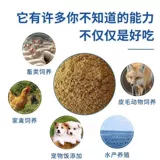 Новая Зеландия импортировала куриную и говяжью костную муку, корм для домашних животных, птицы, скота, аквакультуры, кормовое сырье, костную муку