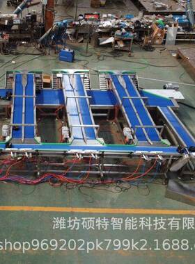 水果无损色选测糖分级机 麒麟瓜桃子榴莲库尔勒香梨无损伤分选机