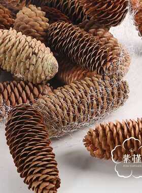 云杉松果松塔 干花 材料手工天然摆件 圣诞装饰物拍摄道具森系