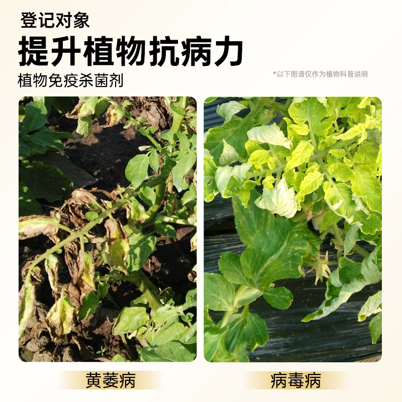 上甫0.5%氨基寡糖素番茄西红柿病毒病花叶病植物抗农药杀菌杀虫剂