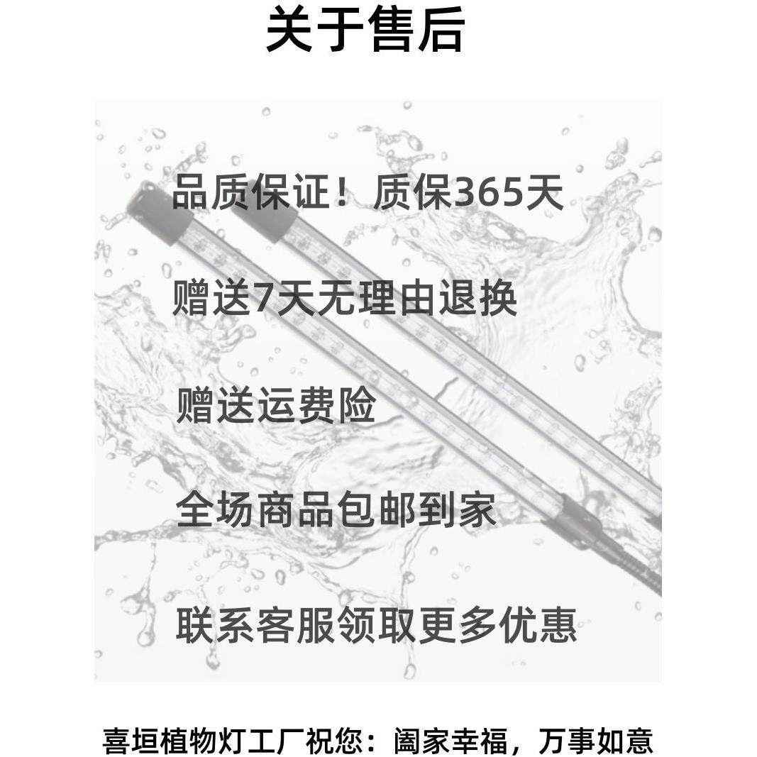 多肉补光增色灯定时USB夹式上色全光谱LED花卉盆景植物灯生长灯,淘宝优惠券,粉丝福利购,淘宝优惠卷