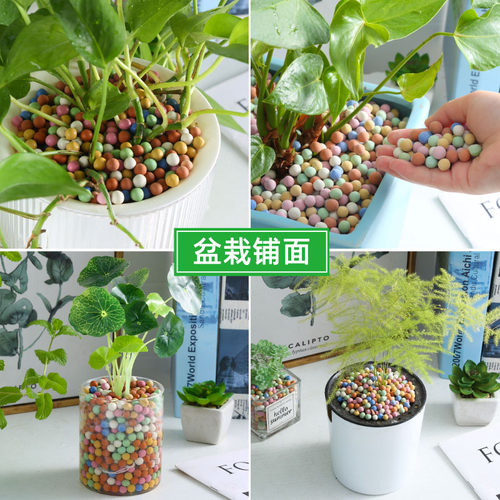 彩色陶粒颗粒花用铺面垫底多肉营养土陶土粒水培养花透气五彩石头 - 图2