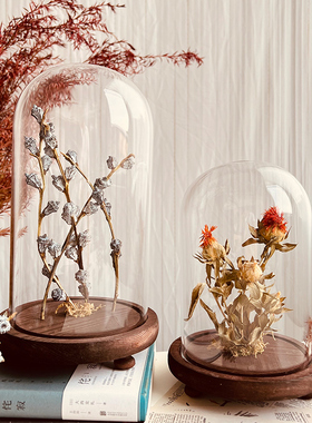 样板间轻奢植物标本装饰品玻璃罩摆件花艺中草药复古简约标摆件