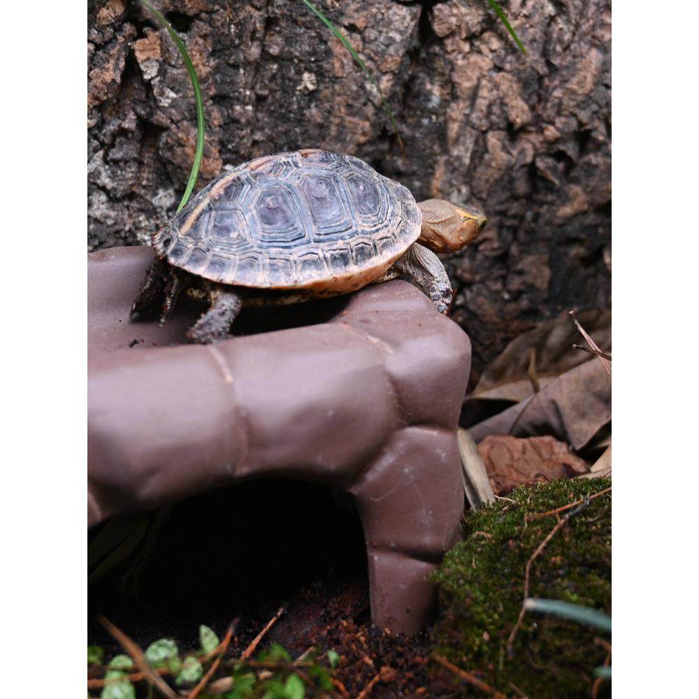 黄缘龟专用躲避屋窝爬宠半水龟饲养箱蓄水保湿造景洞穴陶瓷瓦片,淘宝优惠券,粉丝福利购,淘宝优惠卷