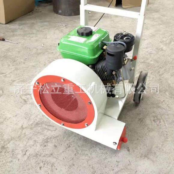 工程路面手推式吹扫机 地面清扫马路吹风机大功率汽油吹风机,淘宝优惠券,粉丝福利购,淘宝优惠卷
