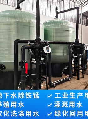 石英砂农业种植蓝莓景观循环水除铁锈多介质理砂设备