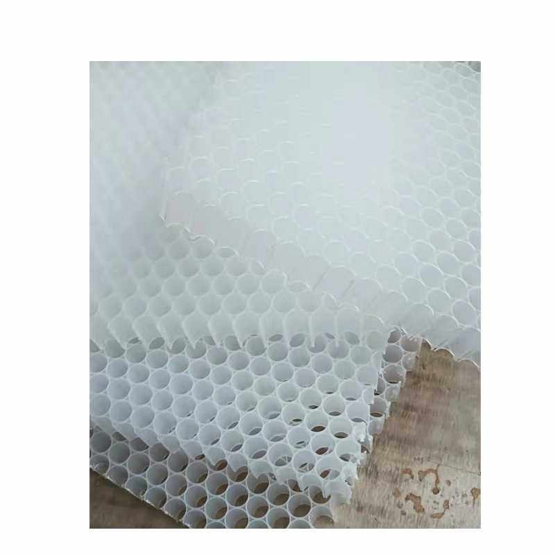 PP蜂窝复合塑蜂窝板夹芯材料PP蜂窝板超轻热塑性玻纤增强蜂窝芯,淘宝优惠券,粉丝福利购,淘宝优惠卷
