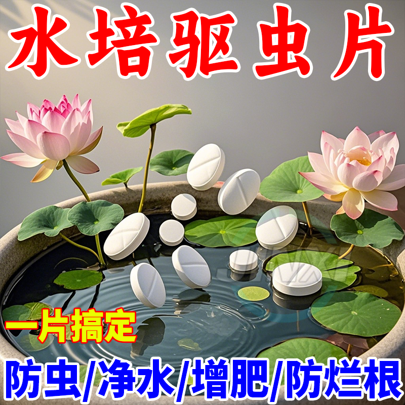 水培驱虫片富贵竹碗莲水培植物杀虫蚊子幼虫水池灭水虫园艺防虫片,淘宝优惠券,粉丝福利购,淘宝优惠卷
